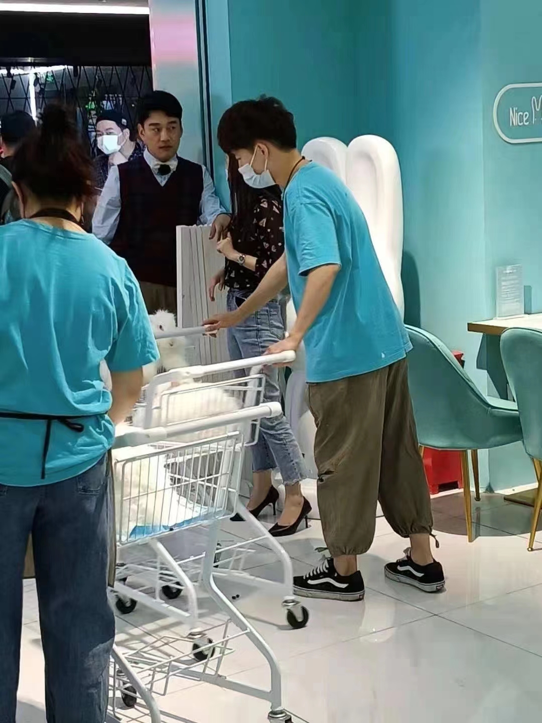 長毛兔剪毛的五個注意事項